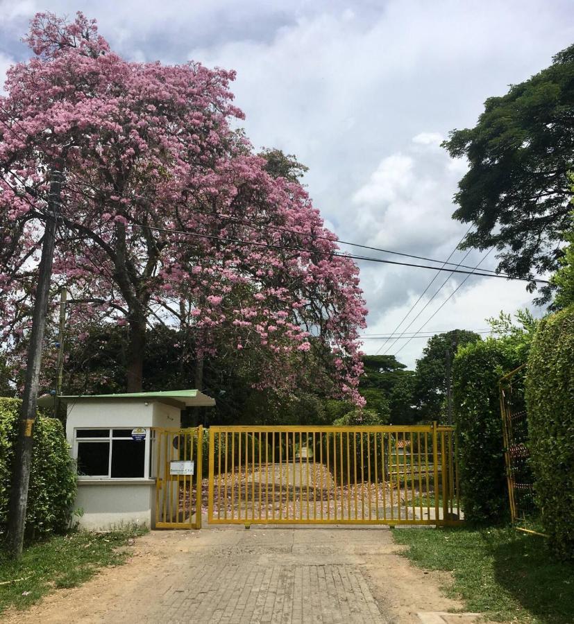 El Jardin De Los Colibries - Pereira, Risaralda 外观 照片