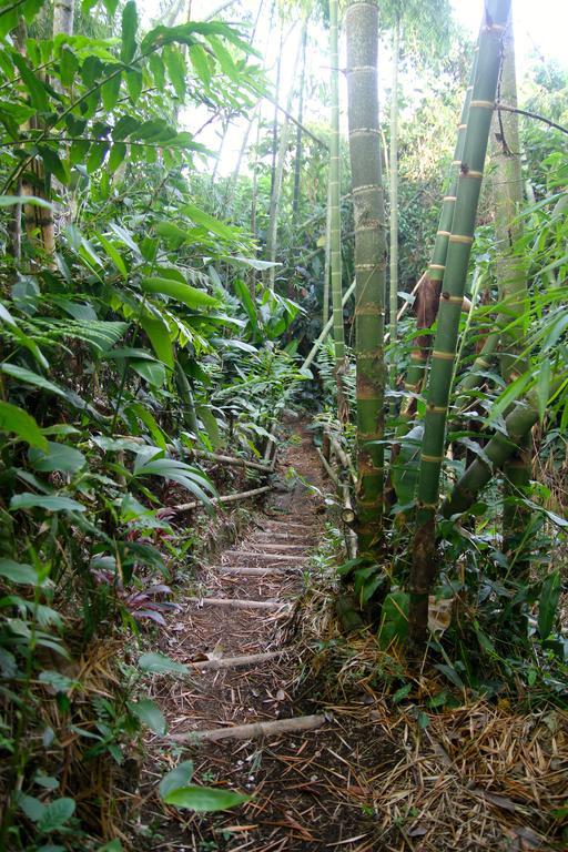 El Jardin De Los Colibries - Pereira, Risaralda 外观 照片